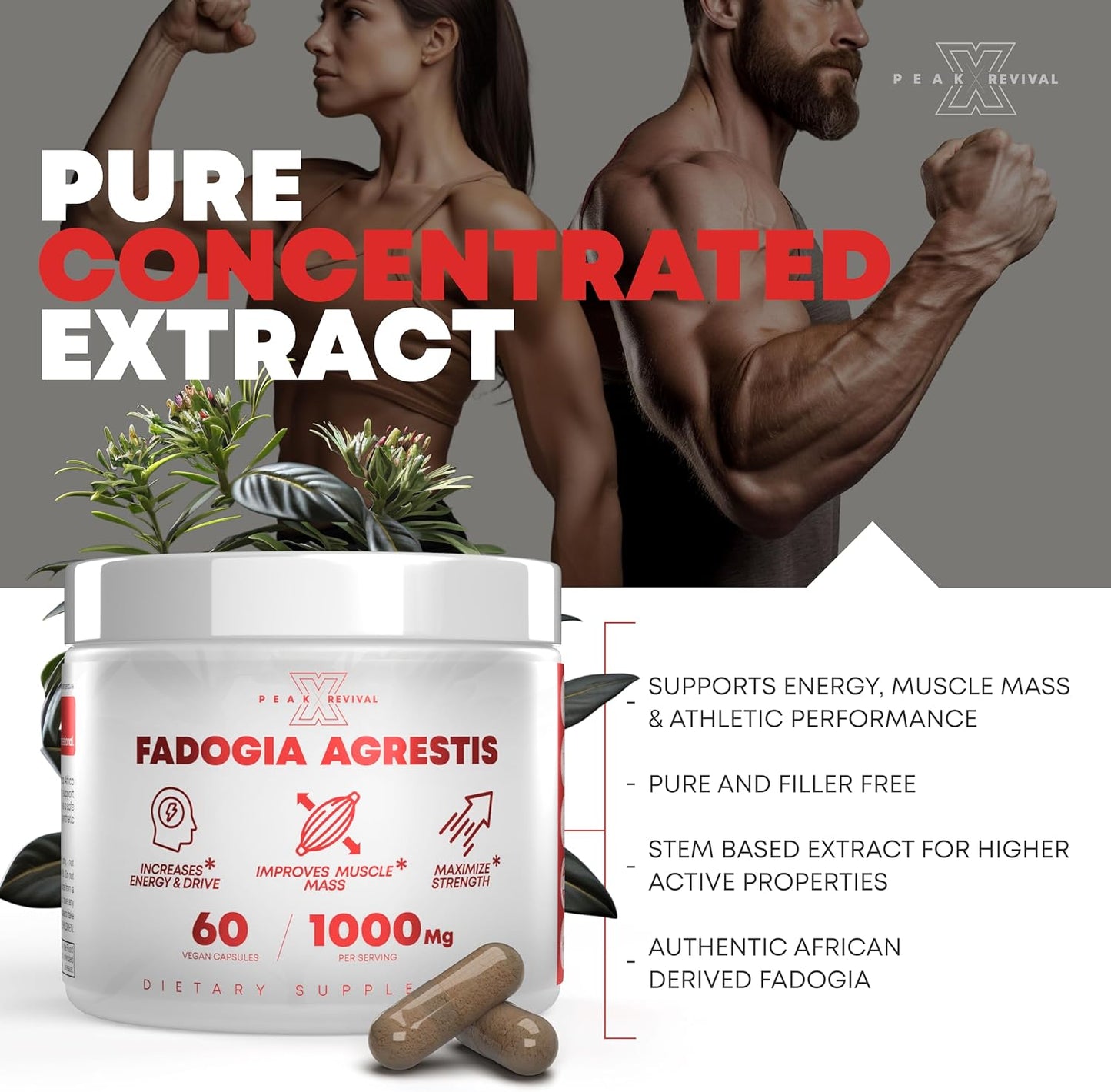 Testosterone Booster for Men with Fadogia Agrestis 1000mg Per Serving - Improve Natural Testosterone production