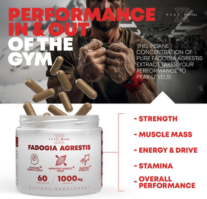 Testosterone Booster for Men with Fadogia Agrestis 1000mg Per Serving - Improve Natural Testosterone production